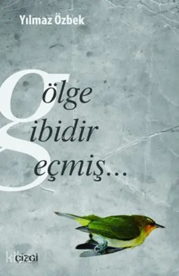  Gölge Gibidir Geçmiş | Yılmaz Özbek | Çizgi Kitabevi | 9786054639588 | 