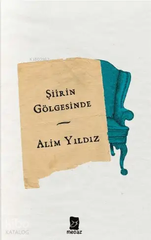  Şiirin Gölgesinde | Alim Yıldız | Mecaz Yayınları | 9786056984501 | 