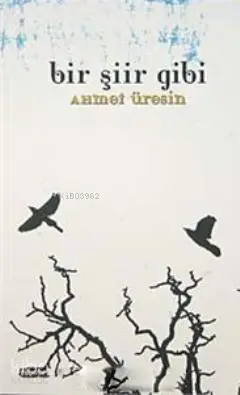  Bir Şiir Gibi | Bir Şiir Gibi | Ahmet Üresin | Tebeşir Yayınları | 9786055999865 