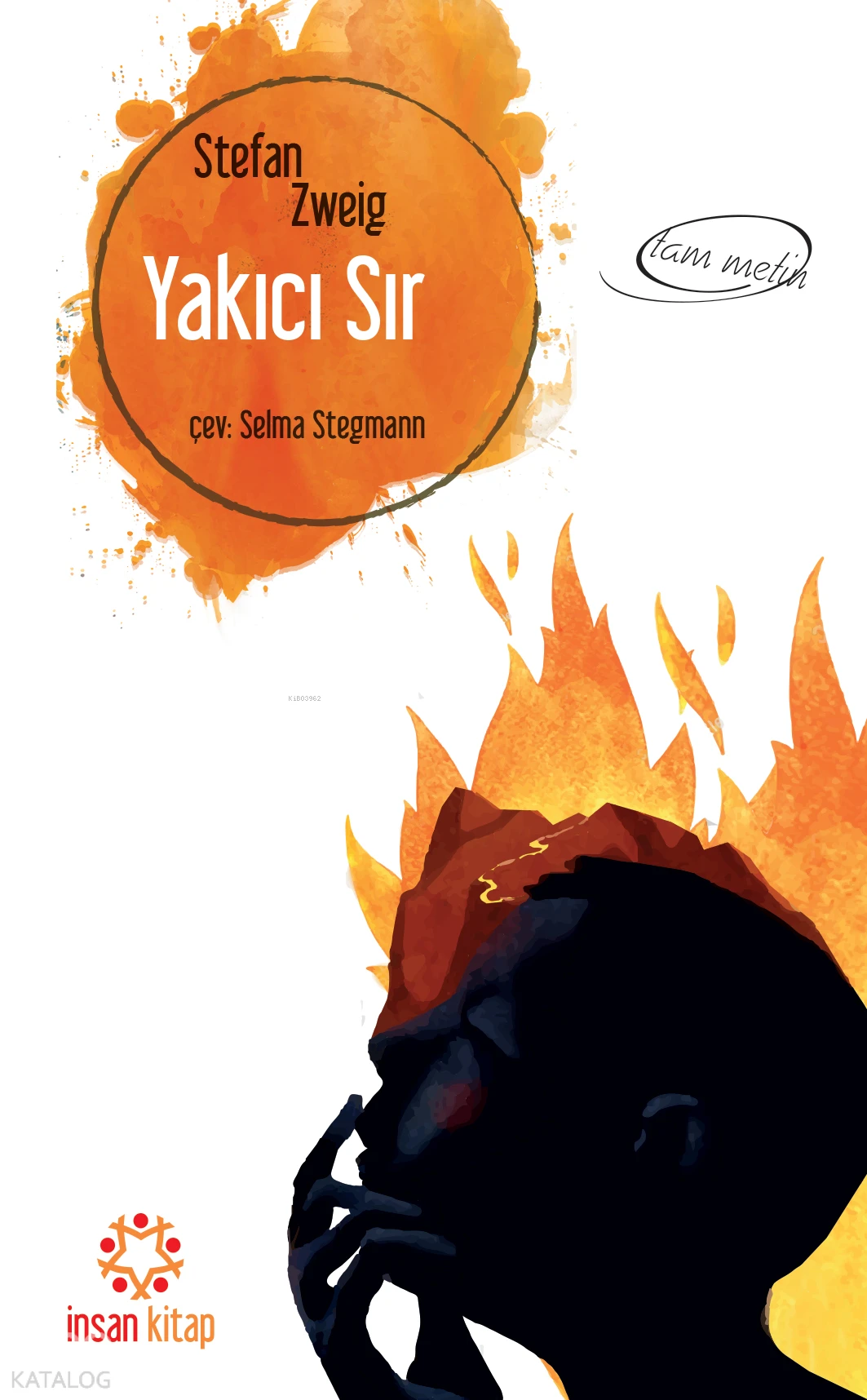  Yakıcı Sır | Stefan Zweig | İnsan Kitap | 9789755748894 | 