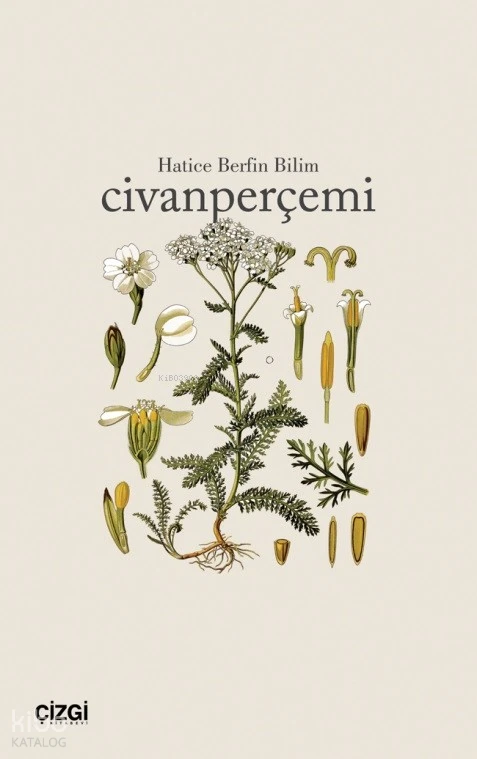  Civanperçemi | Hatice Berfin Bilim | Çizgi Kitabevi | 9786253960964 | 
