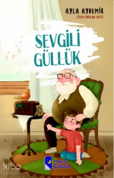  Sevgili Günlük | Ayla Aydemir | Fuzuli Erdem | Furkan Ekici | Mecaz Çocuk | 9786057462787 | 