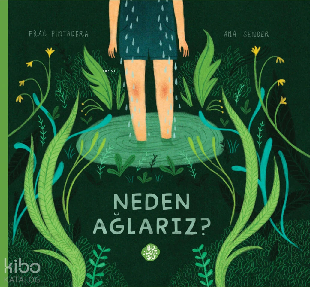  Neden Ağlarız | Neden Ağlarız | Fran Pintadera | Ana Sender | Mehmet Kurtul | Bulutsu Yayınları | 9786057181220 