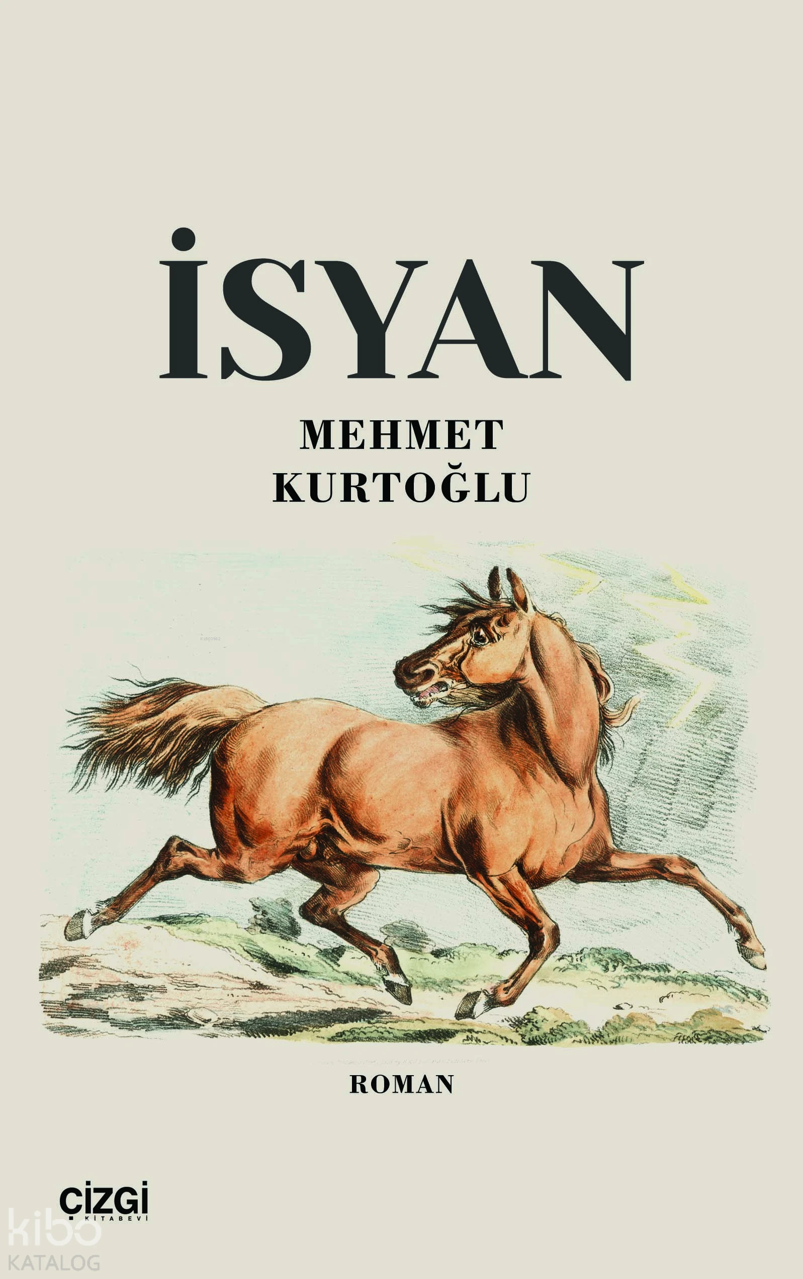  İsyan | Mehmet Kurtoğlu | Çizgi Kitabevi | 9786253963057 | 