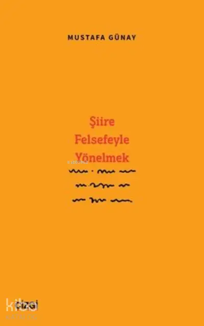  Şiire Felsefeyle Yönelmek | Mustafa Günay | Çizgi Kitabevi | 9786051967387 | 