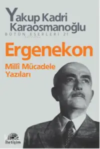 Ergenekon; Milli Mücadele Yazıları