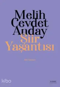 Melih Cevdet Anday; Şiir Yaşantısı