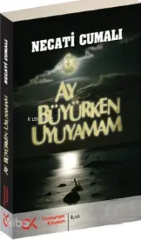 Ay Büyürken Uyuyamam