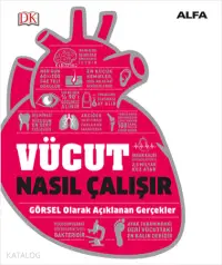 Vücut Nasıl Çalışır