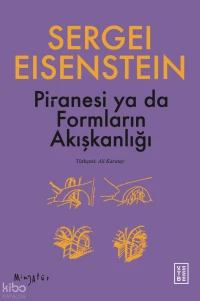 Piranesi ya da Formların Akışkanlığı