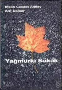 Yağmurlu Sokak