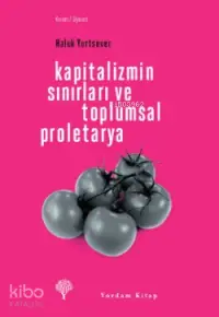 Kapitalizmin Sınırları ve Toplumsal Proletarya