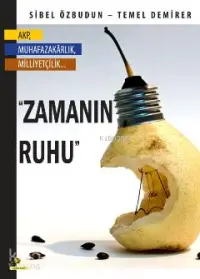 Zamanın Ruhu; AKP, Muhafazakarlık, Milliyetçilik...