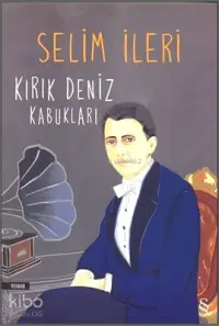 Kırık Deniz Kabukları