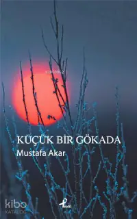 Küçük Bir Gökada