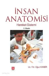 İnsan Anatomisi