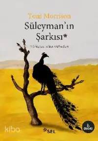 Süleyman'ın Şarkısı