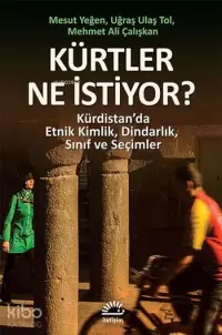 Kürtler Ne İstiyor?; Kürdistan'da Etnik Kimlik, Dindarlık, Sınıf ve Seçimler