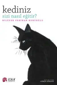 Kediniz Sizi Nasıl Eğitir?