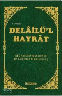 Delailü'l Hayrat (Mini Boy-Kılıflı)