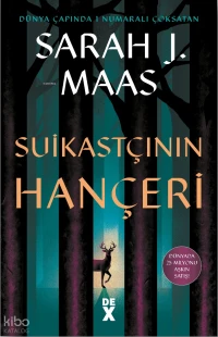  Cam Şato 8 Suikastçının Hançeri (Ciltli) | Cam Şato 8 Suikastçının Hançeri (Ciltli) | Sarah J Maas | Başak Kıran | Seyhan Dönmez | Dex Kitap | 9786255572523 