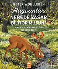 Hayvanlar Nerede Yaşar Biliyor Musun? Ormanda ve Kırlarda Küçük Bir Keşif Gezisi