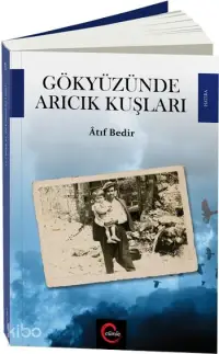 Gökyüzünde Arıcık Kuşları