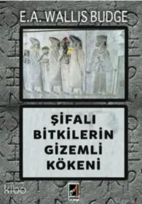 Şifalı Bitkilerin Gizemli Kökeni