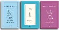 VIRGINIA WOOLF SET (3 Kitap)