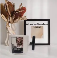 ATLARA VE UZAKALARA T-BARDAK