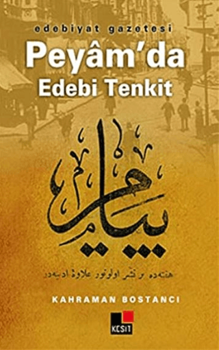 Edebiyat Gazetesi Peyâm'da Edebi Tenkit kitap kapağı
