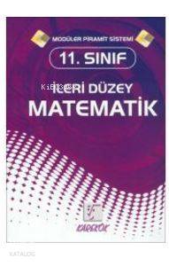 Karekök 11.Sınıf İleri Düzey Matematik Modüler Piramit Sistemi (2017)