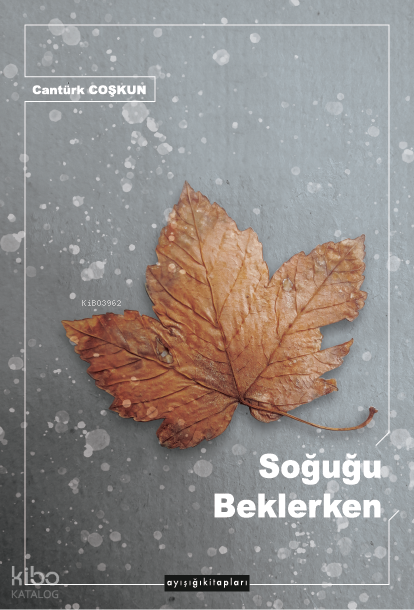 Soğuğu Beklerken