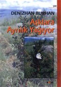  Aşklara Ayrılık Yağıyor | Denizhan Burhan | Kora Yayın | 9789758800476 | 