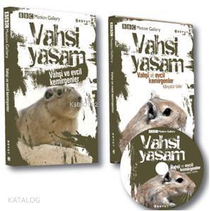  Vahşi Yaşam Vahşi ve Evcil Kemirgenler | Kolektif | Bülent Özükan | Boyut Yayın Grubu | 9789752308466 | 