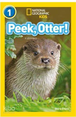  Peek Otter (Readers 1) National Geographic Kids | Shira Evans | Beta Kids | 9780008266547 | 
