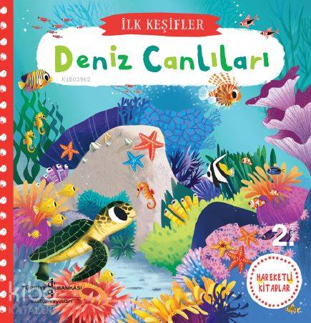  Deniz Canlıları Hareketli Kitaplar | Deniz Canlıları Hareketli Kitaplar | Kolektif | Ozan Kızıler | Elif Dinçer | Chorkung | Türkiye İş Bankası Kültür Yayınları | 9786052951941 