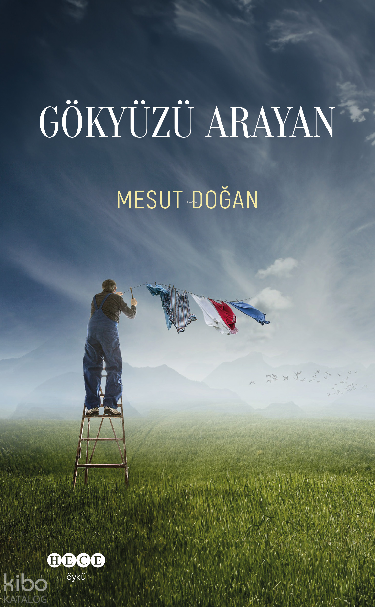 Gökyüzü Arayan