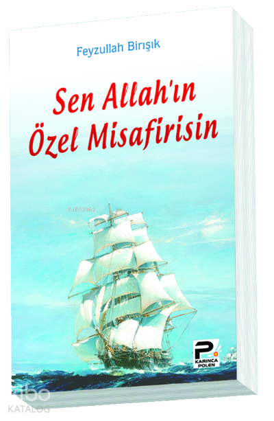  Sen Allahın Özel Misafirisin | Sen Allahın Özel Misafirisin | Feyzullah Birışık | Karınca & Polen Yayınları | 9786055104252 