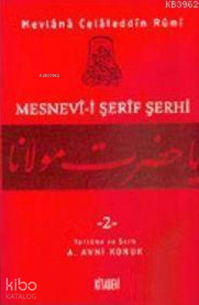 Mesnevi-i Şerif Şerhi 2