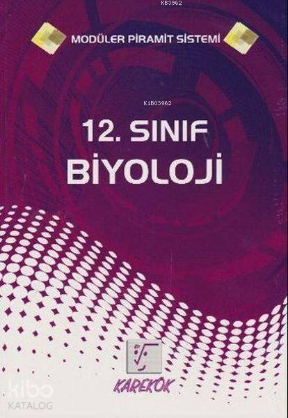 12. Sınıf Biyoloji Konu Anlatımı; Modüler Piramit Sistemi
