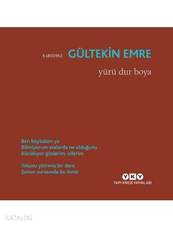  Yürü Dur Boya | Yürü Dur Boya | Gültekin Emre | Murat Yalçın | Yapı Kredi Yayınları ( YKY ) | 9789750835339 