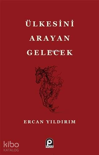  Ülkesini Arayan Gelecek | Ülkesini Arayan Gelecek | Ercan Yıldırım | Pınar Yayınları | 9789753525190 