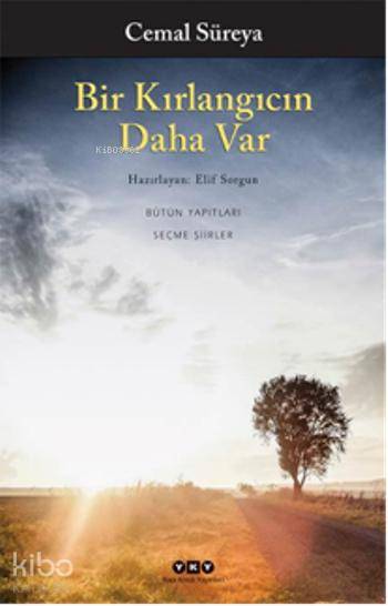  Bir Kırlangıcın Daha Var | Bir Kırlangıcın Daha Var | Cemal Süreya | Yapı Kredi Yayınları ( YKY ) | 9789750826894 