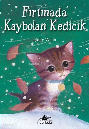  Fırtınada Kaybolan Kedicik | Holly Webb | Zeynep Çamaş | Pervin Salman | Ezgi Gültekin | Pegasus Yayıncılık | 9786053433279 | 