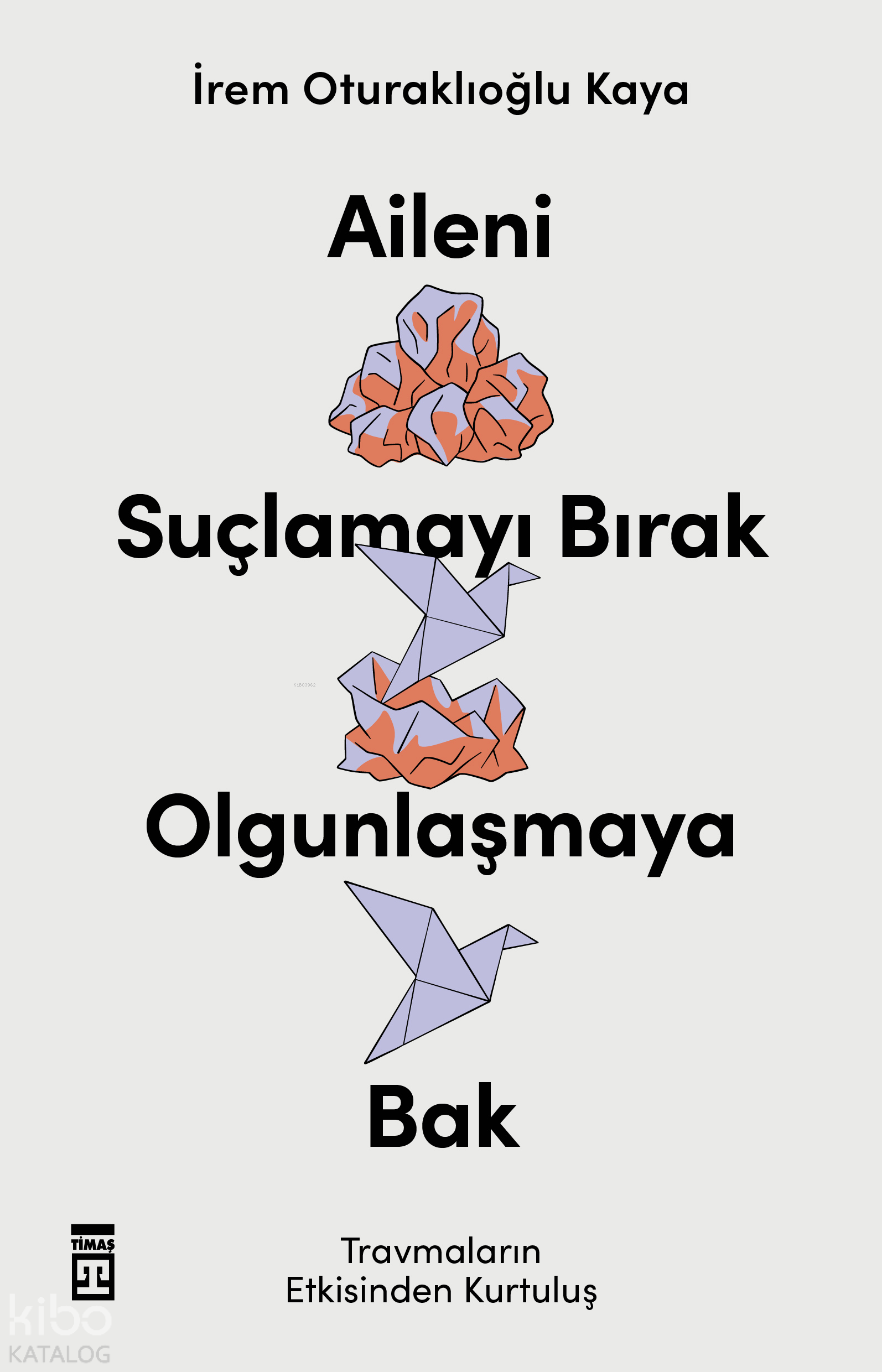 Aileni Suçlamayı Bırak Olgunlaşmaya Bak