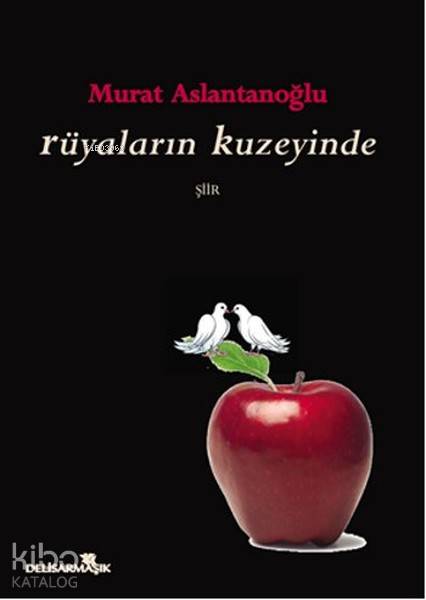  Rüyaların Kuzeyinde | Rüyaların Kuzeyinde | Murat Aslantanoğlu | Delisarmaşık | 9786056639326 