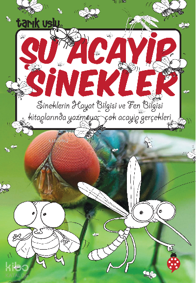  Şu Acayip Sinekler | Şu Acayip Sinekler | Tarık Uslu | Sevgi İçigen | Uğurböceği Yayınları | 9786258355468 