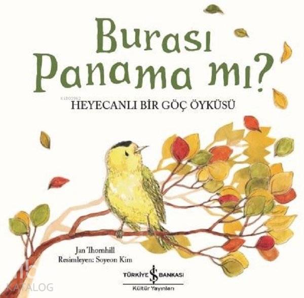  Burası Panama mı Heyecanlı Bir Göç Öyküsü | Nevin Avan Özdemir | Meltem Aydın | Soyeon Kim | Jan Thornhill | Türkiye İş Bankası Kültür Yayınları | 9786052958124 | 