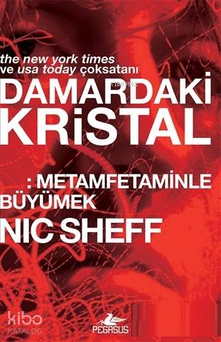  Damardaki Kristal Metamfetaminle Büyümek | Çiçek Eriş | Ezgin Gültekin | Fatma Can | Berk Göbekcioğlu | Nic Sheff | Pegasus Yayıncılık | 9786052996690 | 